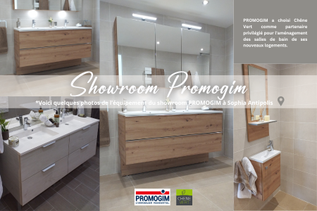 Showroom Promogim